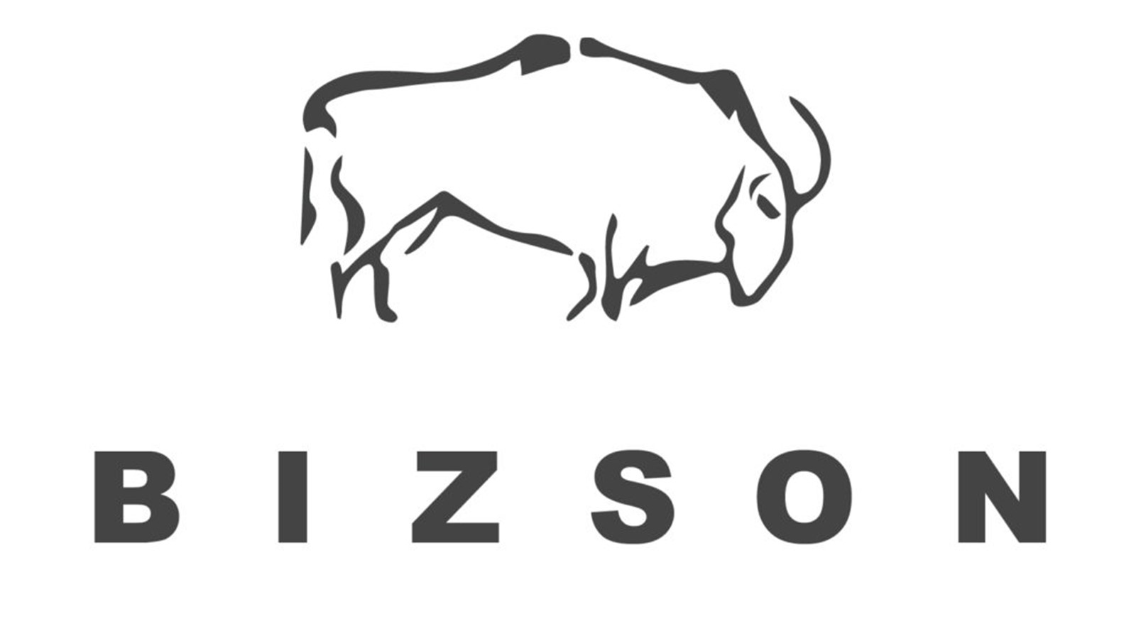 Logo de BIZSON : un bison stylisé avec les lettres BIZSON en-dessous